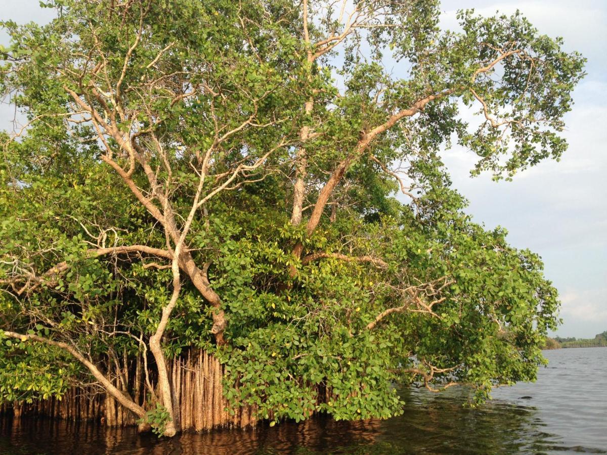 Lake Life Villa Ambalangoda  Extérieur photo