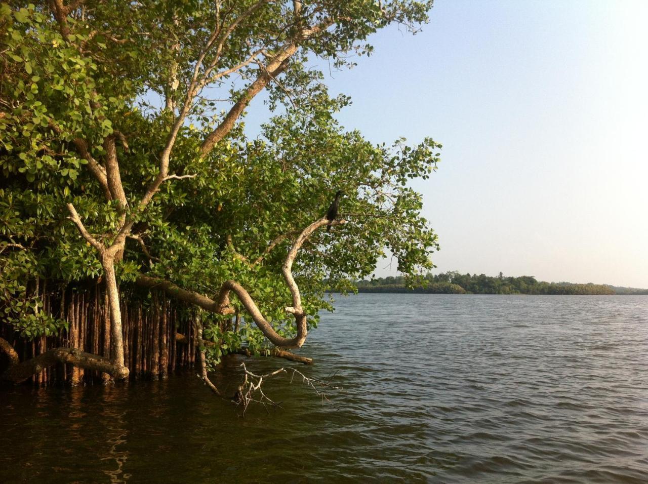 Lake Life Villa Ambalangoda  Extérieur photo