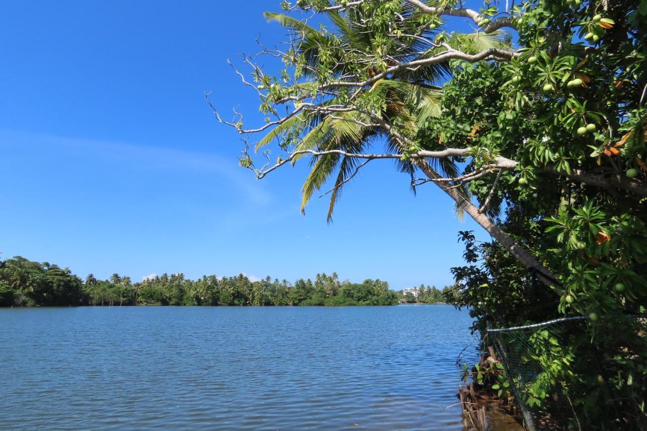 Lake Life Villa Ambalangoda  Extérieur photo